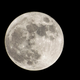 Image for article titled Moon Dead At 29